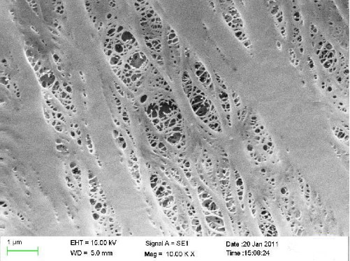 聚烯烴隔膜原料和生產(chǎn)原理