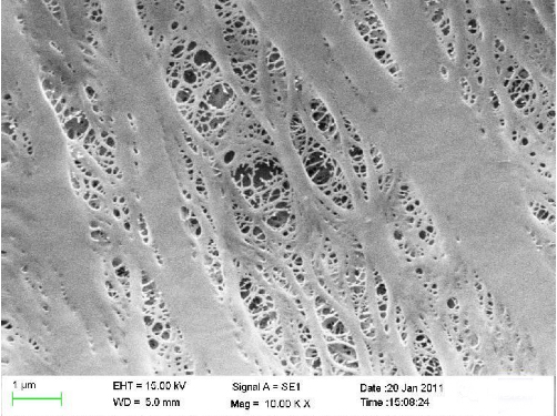 聚烯烴隔膜原料和生產(chǎn)原理