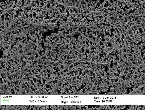 聚烯烴隔膜原料和生產(chǎn)原理
