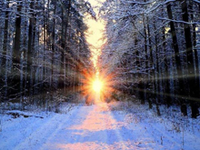 產能盤點II | 400GWh！寒冬中的暖陽？后起之秀產能崛起