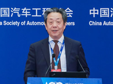 董揚：去年補貼退坡力度較大 企業(yè)沒毛利可言